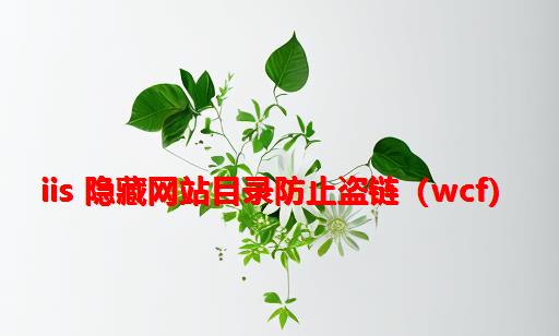 IIS 隐藏网站目录防止盗链（WCF）